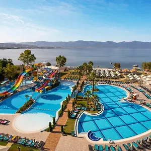 book here